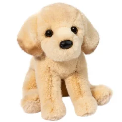 Best Ace Yellow Lab Dogs