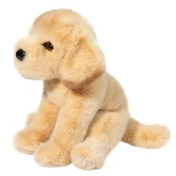 Best Ace Yellow Lab Dogs