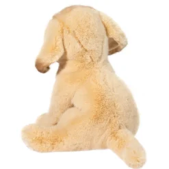 Best Ace Yellow Lab Dogs