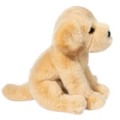 Best Ace Yellow Lab Dogs