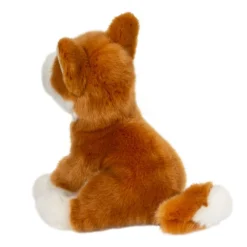 Fashion Aki Shiba Inu Dogs