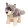 Outlet Ashes Wolf Wildlife