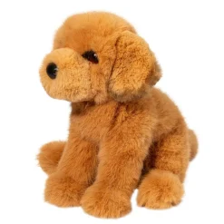 Sale August Golden Retriever Dogs