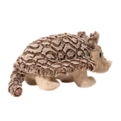 Discount Austin Armadillo Wildlife