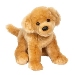Best Bella Golden Retriever Dogs