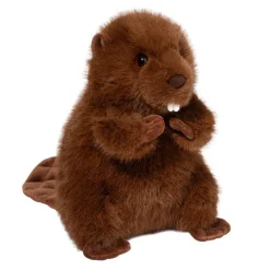 New Bev Beaver Wildlife