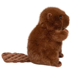 New Bev Beaver Wildlife