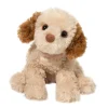 Clearance Biscuit Cavapoo Dogs