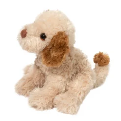 Clearance Biscuit Cavapoo Dogs