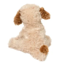 Clearance Biscuit Cavapoo Dogs