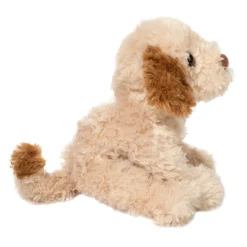 Clearance Biscuit Cavapoo Dogs