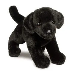 Best Brewster Black Lab Dogs