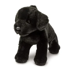 Best Brewster Black Lab Dogs