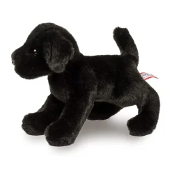 Best Brewster Black Lab Dogs