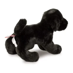 Best Brewster Black Lab Dogs