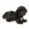Best Bundy Newfoundland Dogs
