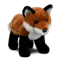 Outlet Bushy Red Fox Wildlife