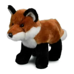 Outlet Bushy Red Fox Wildlife