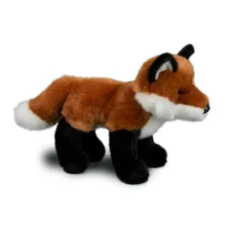 Outlet Bushy Red Fox Wildlife