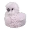Sale Cara Lilac Silkie Chick Farm