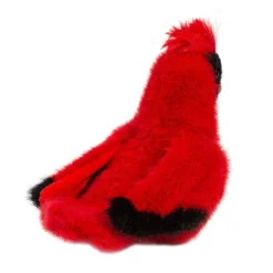 Sale Carmine Cardinal Wildlife