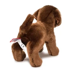 Clearance C.C. Bean Chocolate Lab Dogs