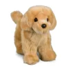 Sale Chap Golden Retriever Dogs