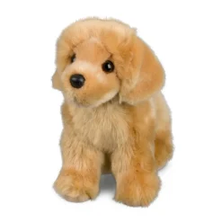 Sale Chap Golden Retriever Dogs