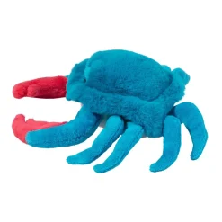 Best Chesa Blue Crab Sea Life