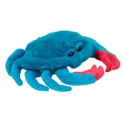 Best Chesa Blue Crab Sea Life