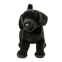 Online Chester Black Lab Dogs