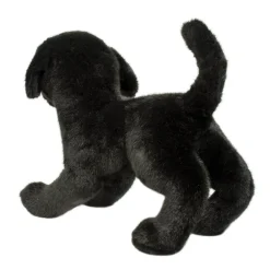 Online Chester Black Lab Dogs