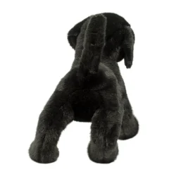 Online Chester Black Lab Dogs