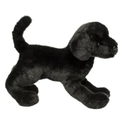 Online Chester Black Lab Dogs