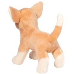New Chichi Chihuahua Dogs