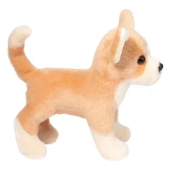 New Chichi Chihuahua Dogs