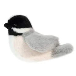 Best Chipper Chickadee Wildlife