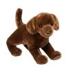 Online Cocoa Chocolate Lab Dogs