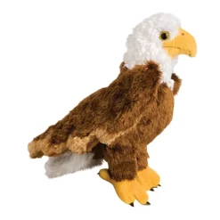 Fashion Colbert Eagle Wildlife
