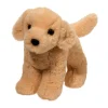 New Cornell Yellow Lab Dogs