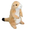 Discount Digger Prairie Dog Wildlife
