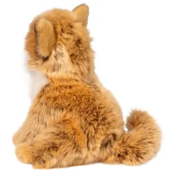 Online Dove Pomsky Dogs