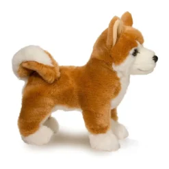 Hot Dunham Shiba Inu Dogs