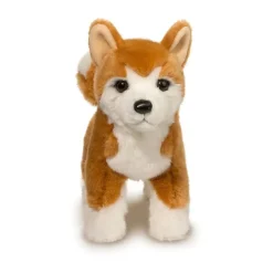 Hot Dunham Shiba Inu Dogs