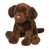 Best Finn Chocolate Lab Dogs