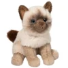 Best Fu Siamese Cat Cats