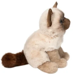 Best Fu Siamese Cat Cats