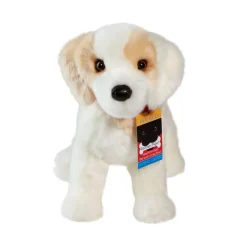 Best Gemma Cream Lab Mix Rescue Pup Dogs