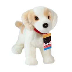 Best Gemma Cream Lab Mix Rescue Pup Dogs