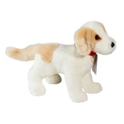 Best Gemma Cream Lab Mix Rescue Pup Dogs